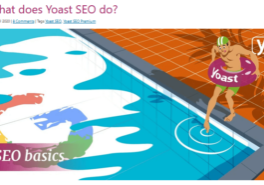 yoast-seo-and-what-it-does